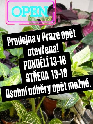 Prodejna v Praze je opět otevřena pro Vaše objednávky a nákupy 🛒.