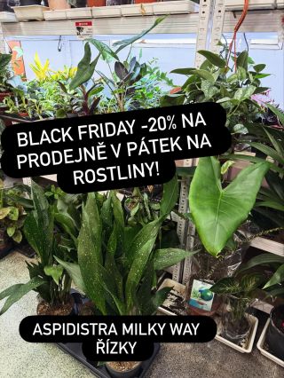 Nenechte si ujít výprodej na prodejně tento pátek od 13:00 do 19:00. Navíc, pokud doneste krabice na balení, odnesete si...