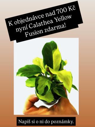 Sběratelský dárek k objednávce!